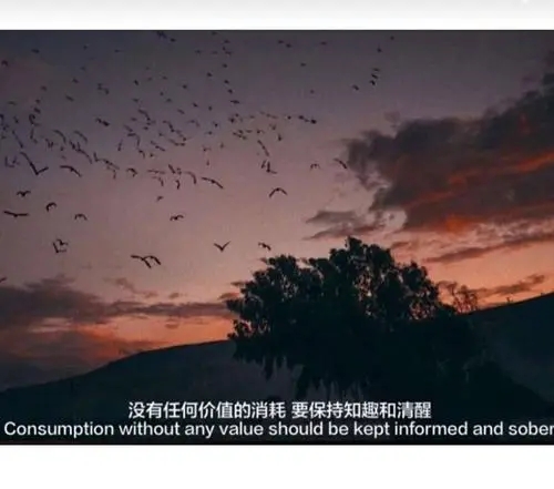 不懂得珍惜的文案