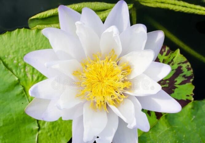 压抑且温柔的高质丧系文案