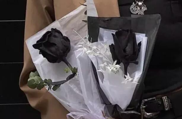 含有玫瑰的文案