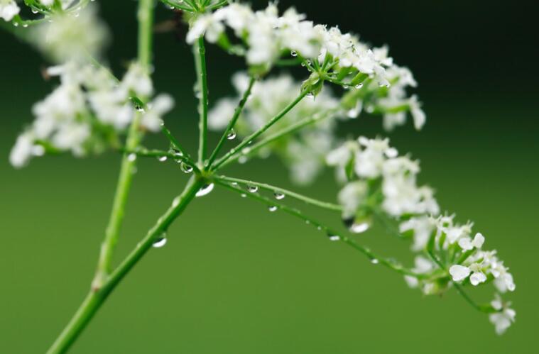 考教资朋友圈文案