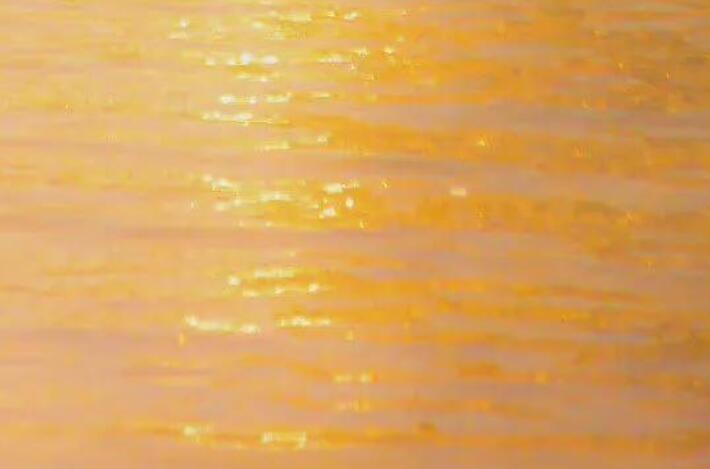 你是我的白月光文案