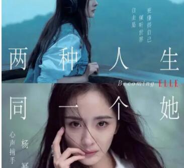 关于杨幂的文案