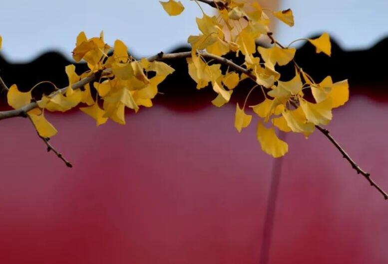 关于小城的朋友圈文案