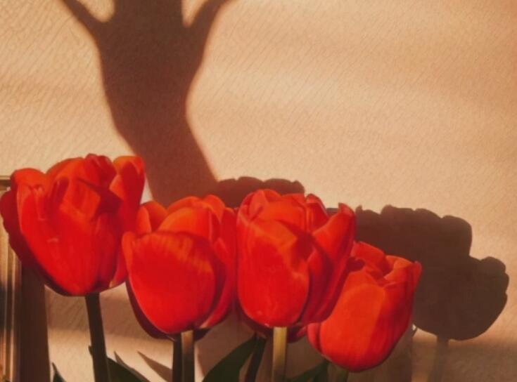 暗示自己很能买东西的文案