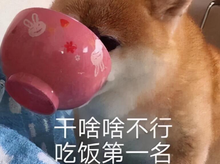 小红书饿了的文案