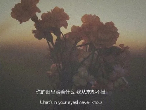 qq说说文案爱情配图