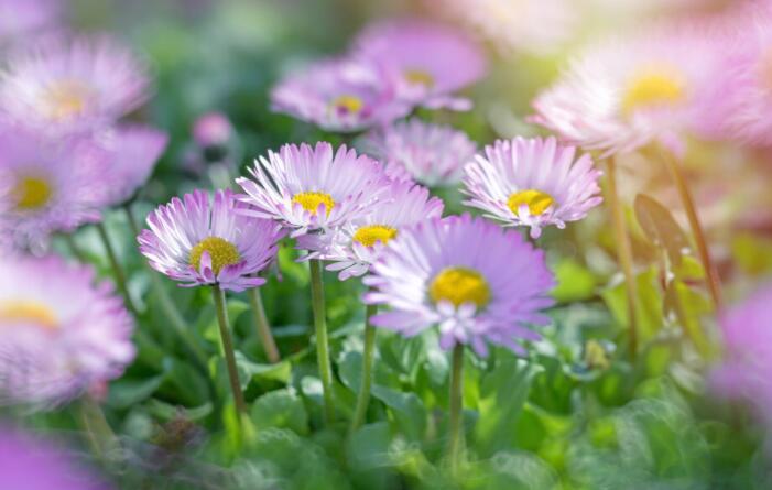 抖音励志文案短句干净治愈