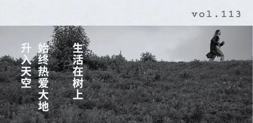 关于摄影的文艺的文案啊