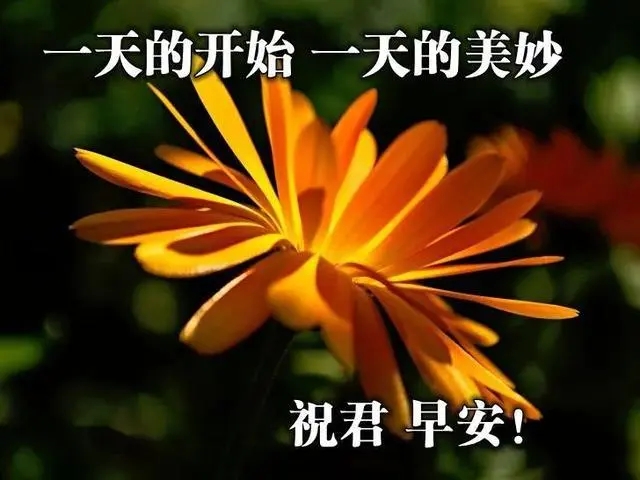 早上发朋友圈的好文案