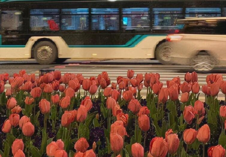 到泰国朋友圈文案