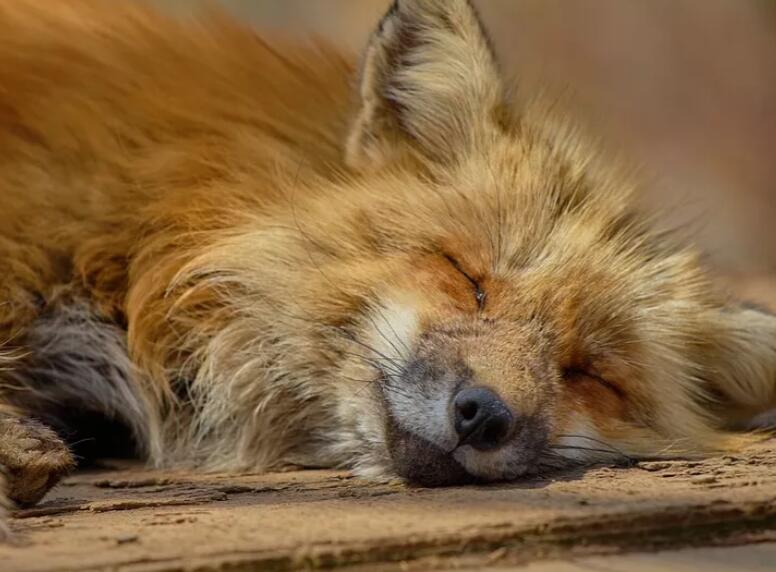 朋友圈度假搞笑文案