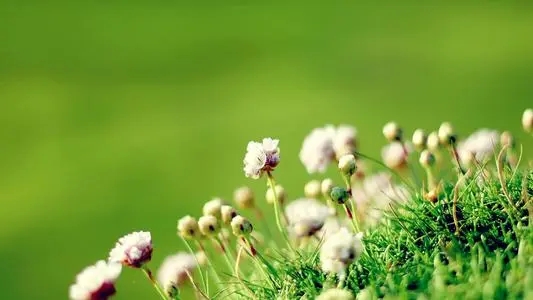 高大上的朋友圈文案