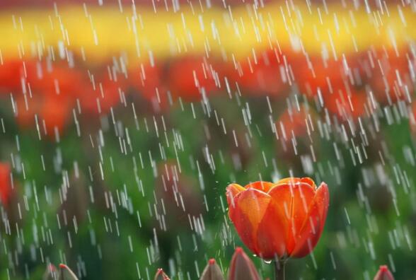 下雨天的文案伤感短句