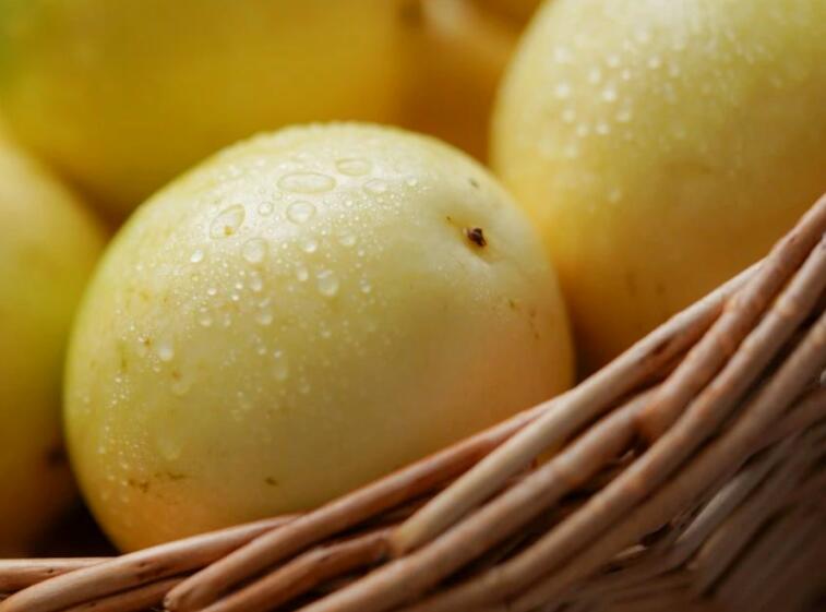 黄金百香果文案