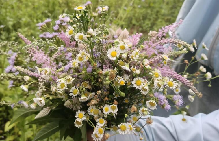 文案句子文案温柔治愈无关爱情