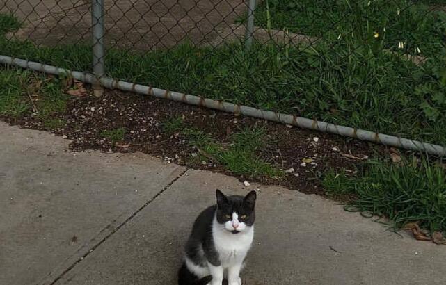 每天一个朋友圈文案