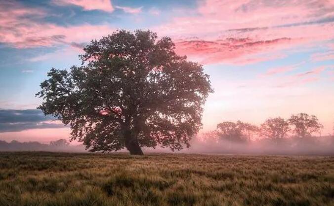 人间清醒文案配图