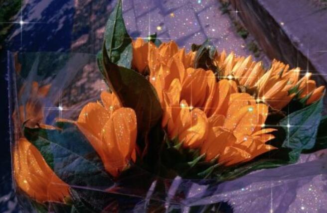 适合写进作文里的片段文案