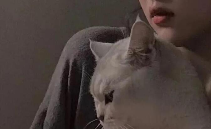 冷战朋友圈文案