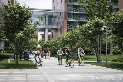 关于大学校园绿化的文案