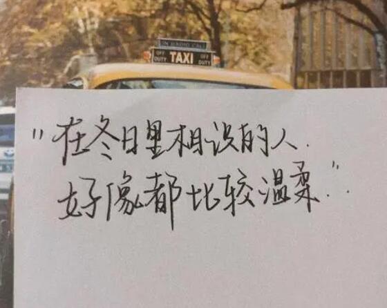 做一个温柔的人文案