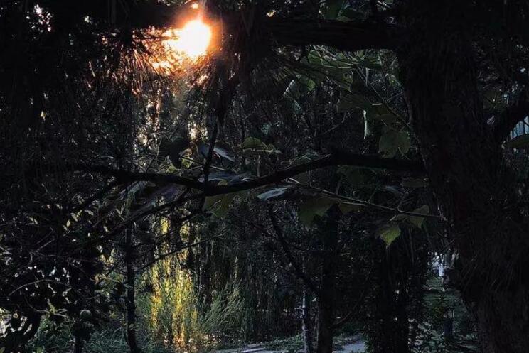 很暖很治愈的文案