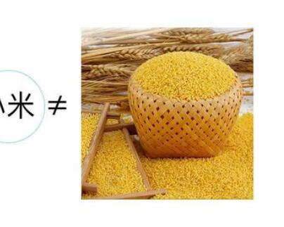 小米广告创意文案