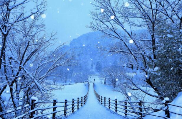 跟雪有关的珍珠文案