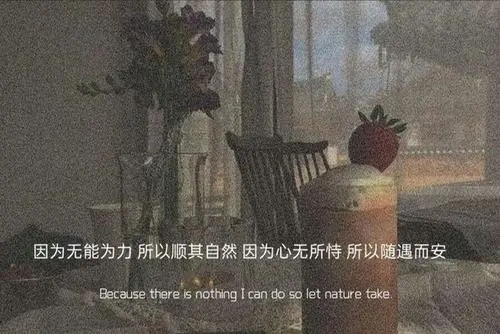 关于温暖的文案