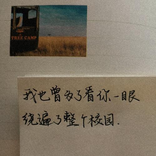 关于暗恋的文案长一点