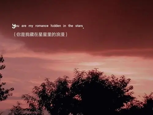 优美精炼的文案