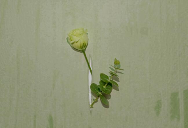 关于写作的朋友圈文案