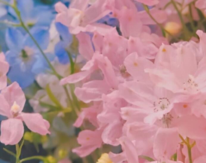 文案甜甜的句子