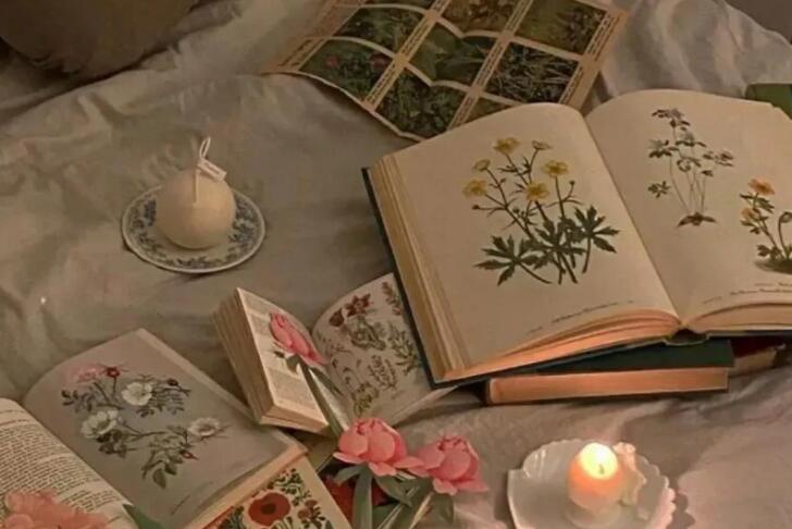 互联网时代的文案