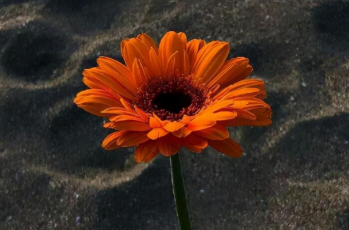 简单生活心态的文案