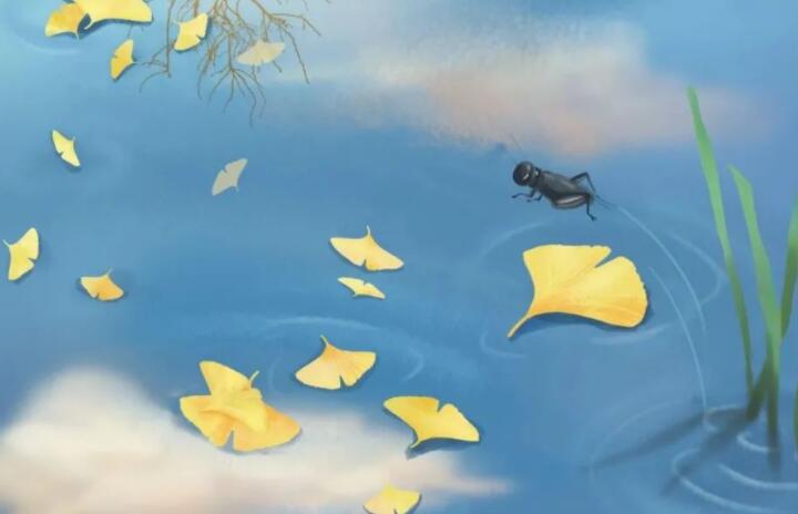 夏天就要过去了的文案