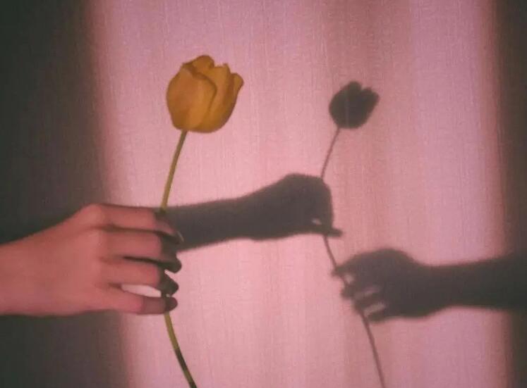 感触很深的文案