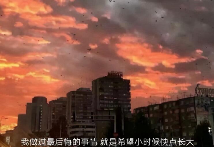 抖音文案拽的句子