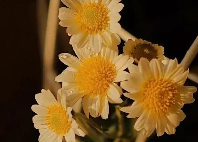 暖心简短文案朋友圈