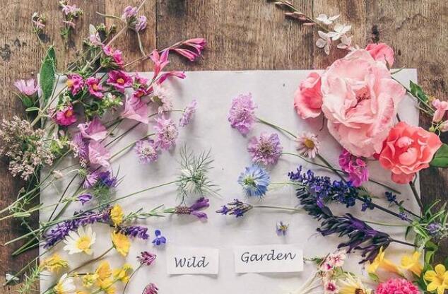 六月幸运图案文案