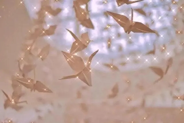 18号正好十八岁发的文案