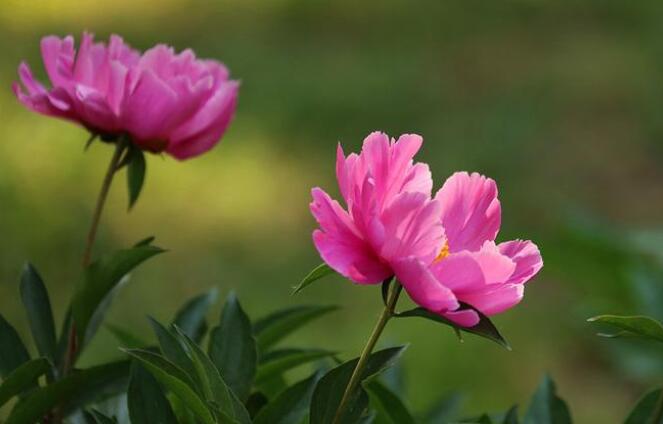 朋友圈对生活的文艺文案