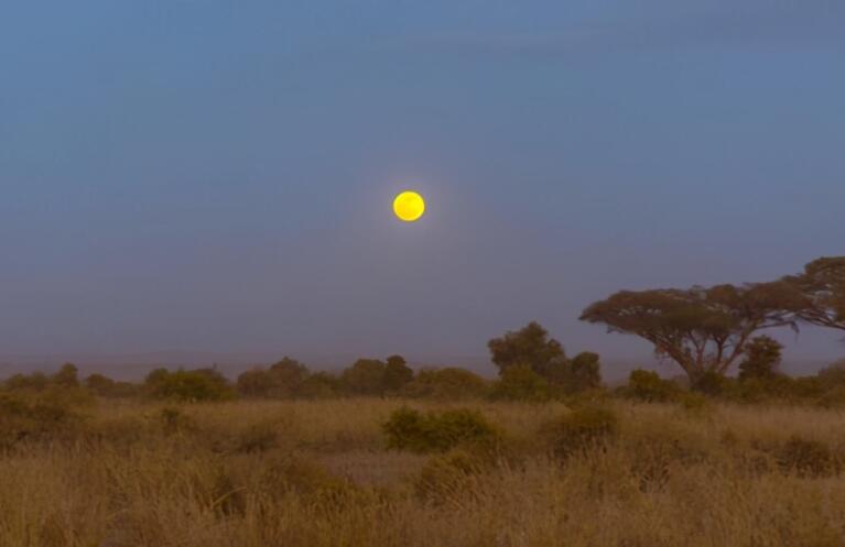 禅意的环境文案