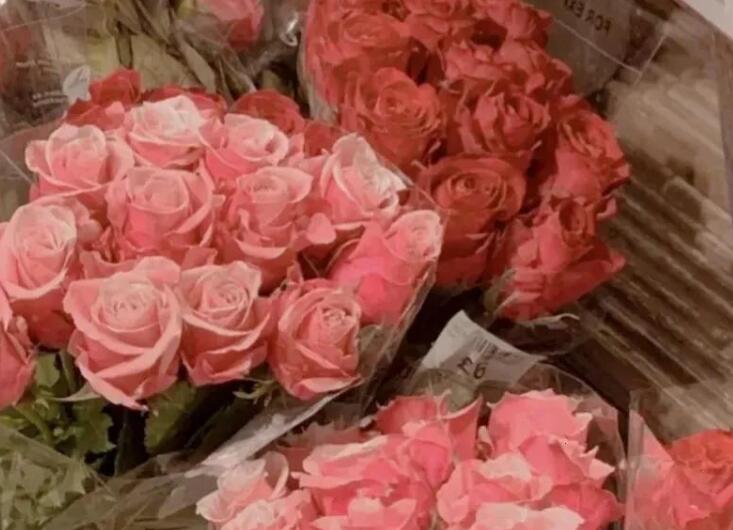 关于花关于爱情的文案