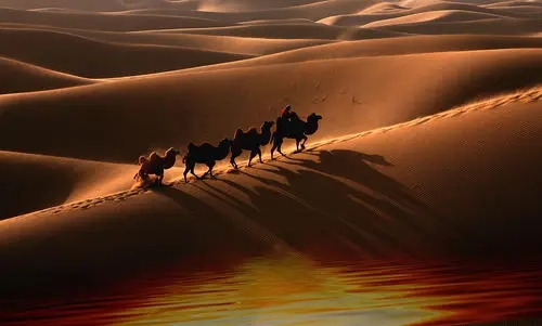 代入沙漠的文案