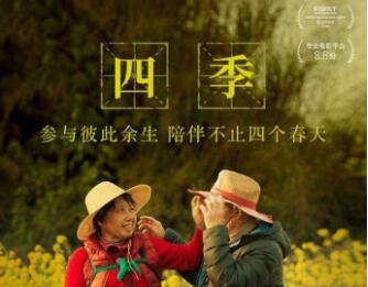 陪你走过四季的文案