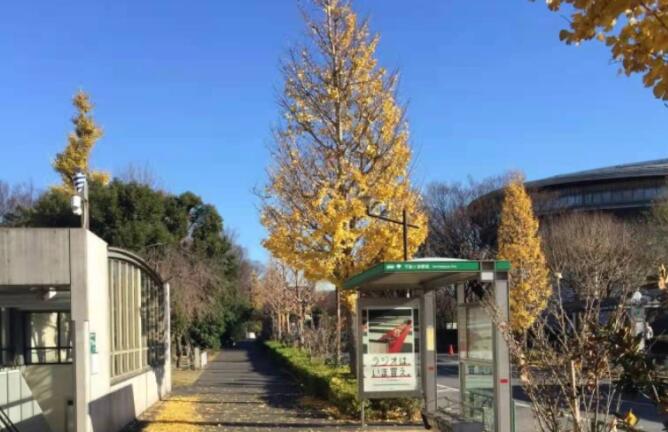 表示新的开始的文案