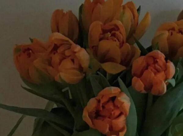 短视频故事文案