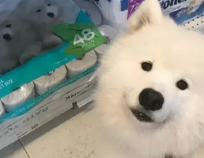 他不是烦湖南文案