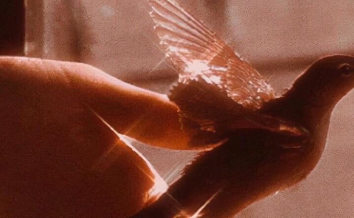 夜晚小清新文案